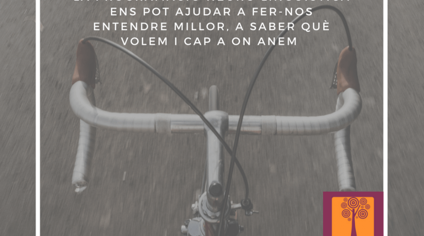 ¿Qué es la PNL? ¿Qué es la PNL?