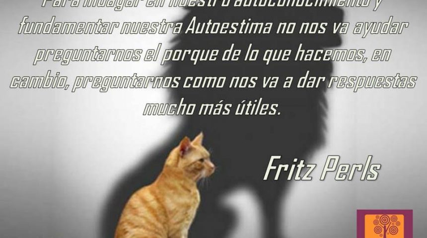 A veces, la vida duele* A veces, la vida duele*